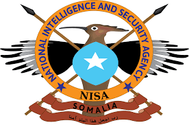 Ciidamada NISA iyo DANAB oo ‘nolosha kusoo qabtay’ xubno Shabaab ah