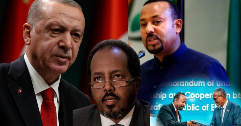 Maxaa lagu sababeeyay dib-u-dhaca ku yimid wajigii sadaxaad ee wadahadalladii Somalia Iyo Itoobiya ee Turkigu uu garwadeenka ka ahaa