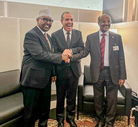 Somalia, Masar Iyo Ereterea Ayaa Ka Shiray Qorshahooda Xiisadda kala Dhaxaysa Itoobiya