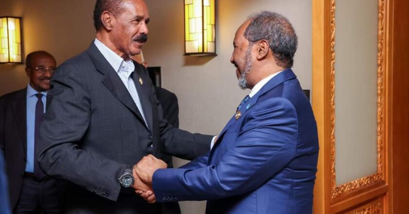 Madaxweyne Xasan Sheekh iyo dhiggiisa Ereteriya Isaias Afwerki oo kulan-doceed ku yeeshay magaalada Beijing ee dalka Shiinaha