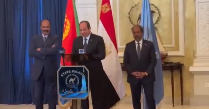 Somalia, Eritrea and Egypt pledge to bolster security ties