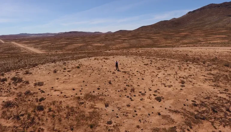 The world’s oldest termite colony holds secrets – to the past and future