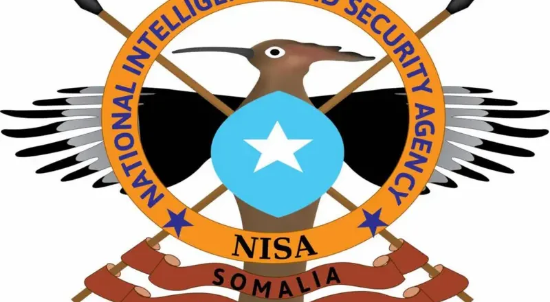 Hay’adda NISA oo gacanta kusoo dhigtay xubno ka tirsan Al-Shabaab